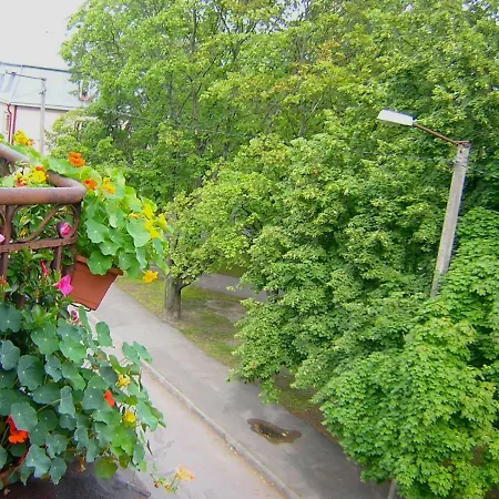 Korter Gozy With Balcony In The Heart Of Kalamaja